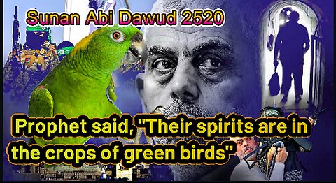 Breaking news: Yahya Sinwar has now become a green bird according to Islam | Malay Subs |