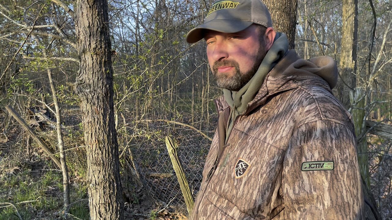 Hunting pigs