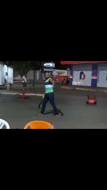 Chair, Scythe & Gun Shots - HaloNews