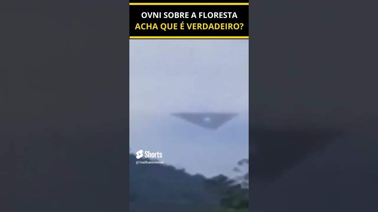 Avistamento Misterioso! O que você acha que isto e #shorts