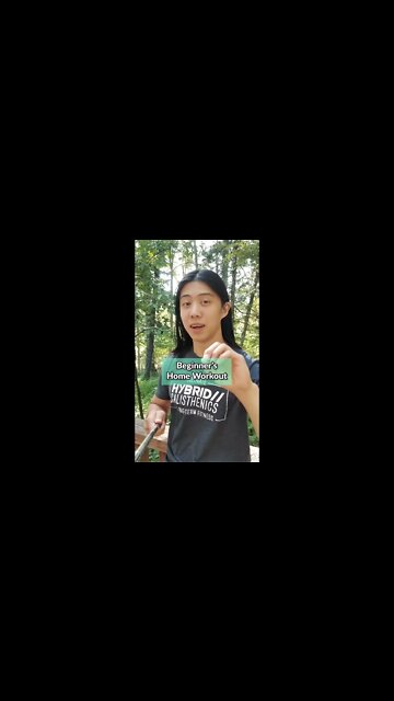 Beginner Home Workout