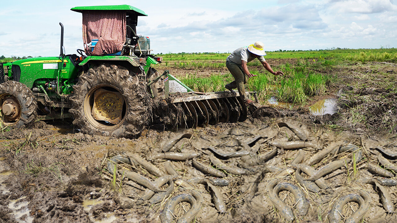 It can't believe underground fishing 2024 - Find & catfish under secret hole in dry season