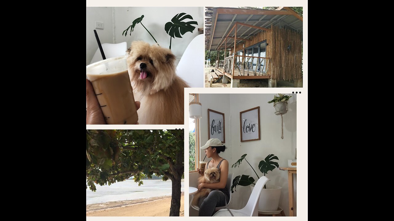 Start your day by igniting your Sandsation with FAITH, HOPE and LOVE plus Coffee & Furbaby (vlog)💞