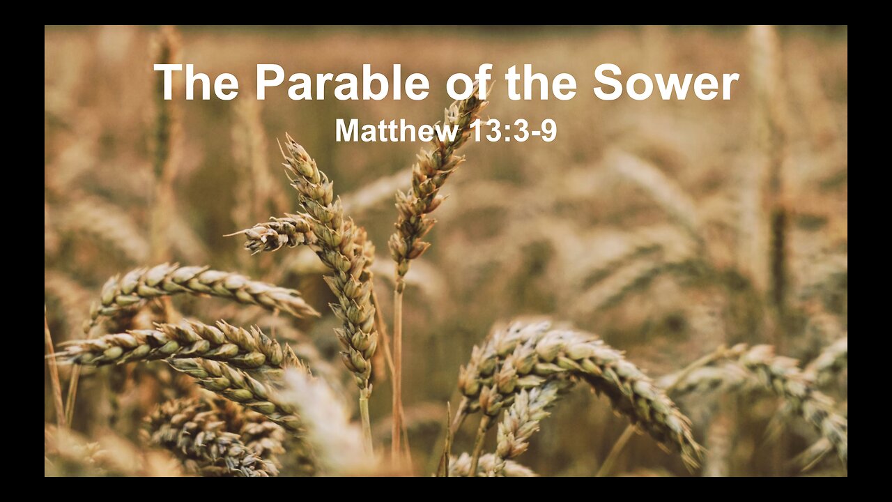 Sermon - The Parable of the Sower