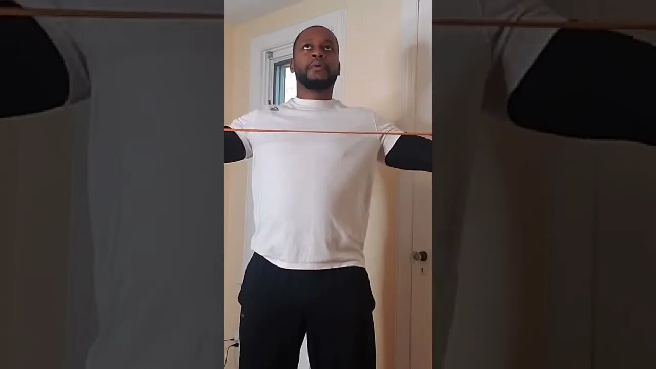 Reverse Flies with Resistance Band