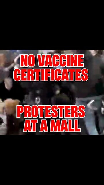 🚨NO VAX CERTIFICTES🚨 4th Reich