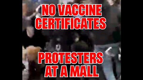 🚨NO VAX CERTIFICTES🚨 4th Reich