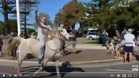 Lockdown In Australia - Horse Being Used To Cause Rush On Border - Examining The Horse