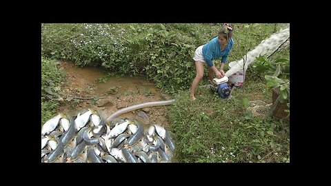 Exciting wild fishing, catch water pump fish from wild lake | Stream Fishing | Fishing Techniques