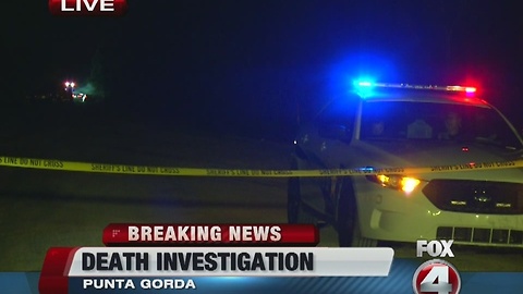 Human remains found in Punta Gorda car fire