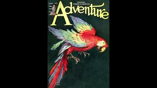 COMENTANDO CAPA REVISTA ADVENTURE ARARA OU PAPAGAIO