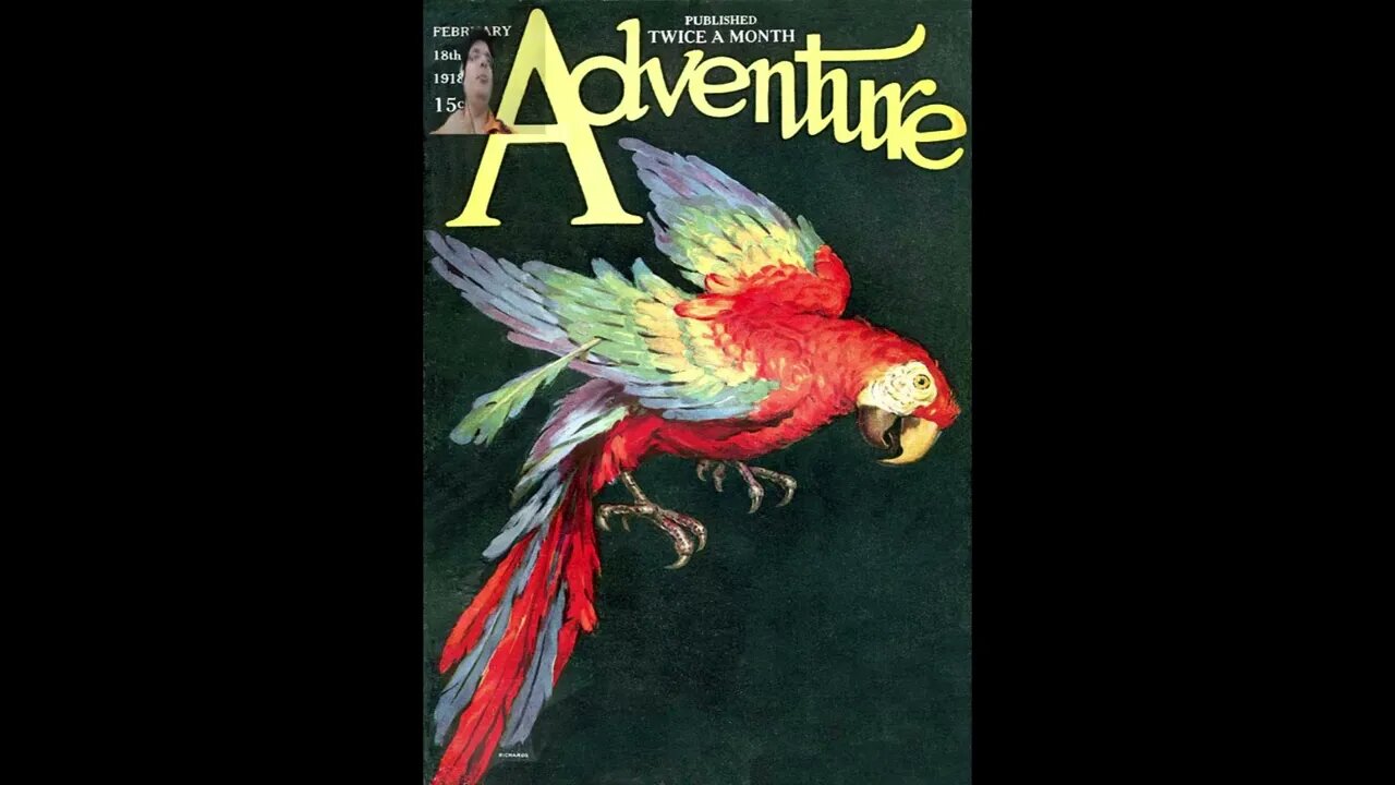 COMENTANDO CAPA REVISTA ADVENTURE ARARA OU PAPAGAIO