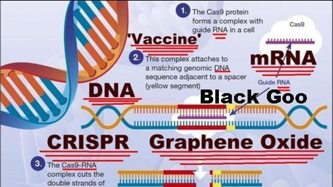 Human Nature: What is the Nanotechnology CRISPR? Graphene Oxide? Dark Matter? Back Goo?