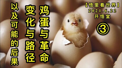 KWT1972(3)鸡蛋与革命，变化与路径，以及可能的后果20210622-8【悟里看世界】