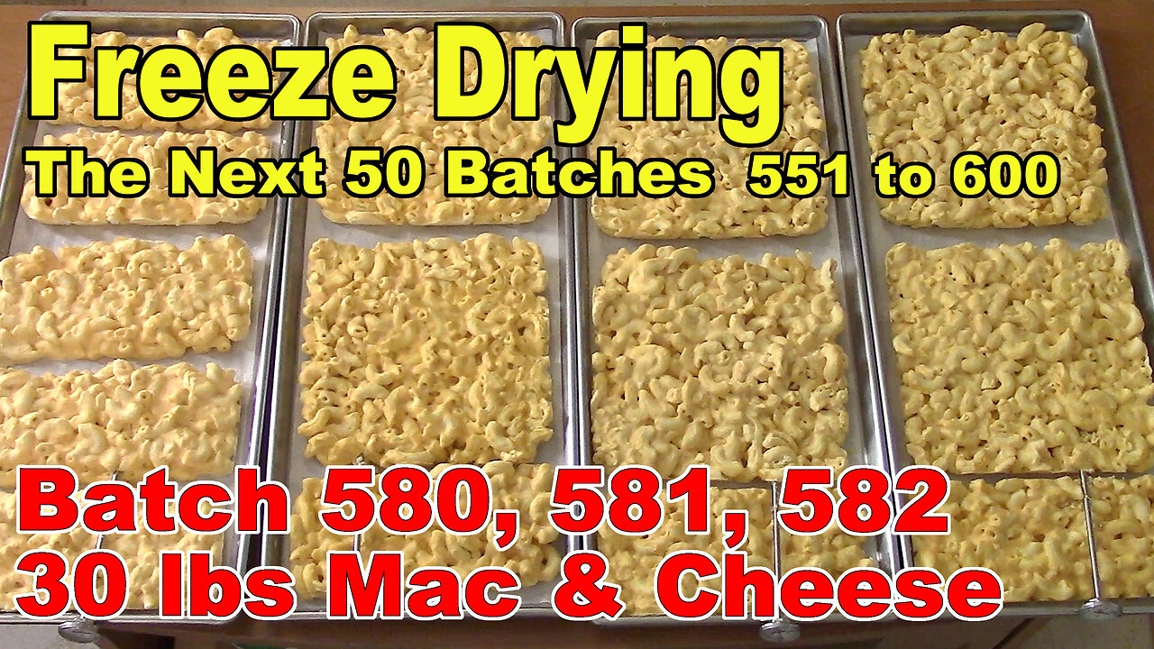 Freeze Drying - The Next 50 Batches - 30 lbs of Molly's Kitchen Macaroni and Cheese