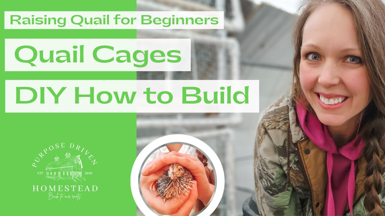 Easy Stacked Quail Cage - DIY