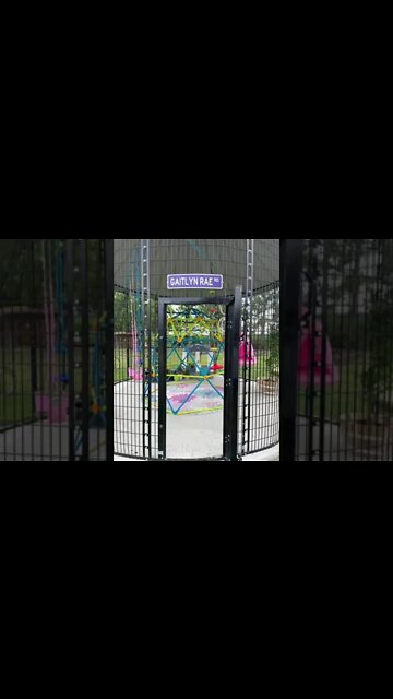 Super excited about my New outside play area!!! THANK FRANDS!! #shorts