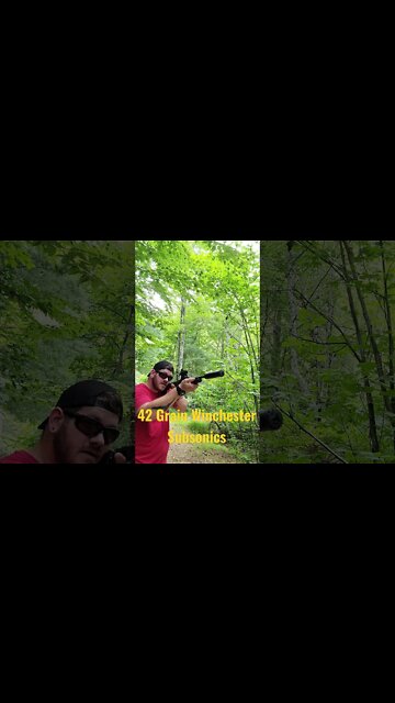 Paladin 5 on the Chongus with Subsonic Ammo. 🤩😁😁