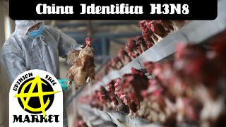 Víruso H3N8 é identificado em humanos na china, vem mais pandemia aí?