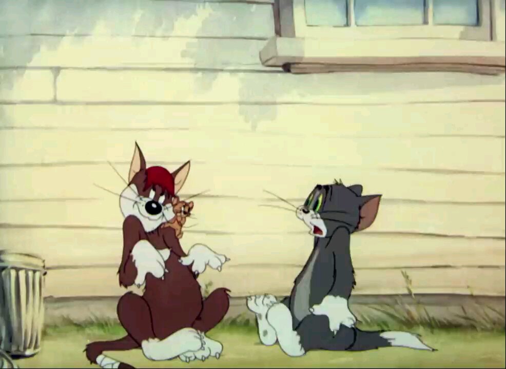 Tom and jerry show