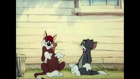Tom and jerry show