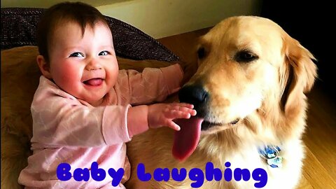 Baby Laughing Loudly On Dog || Really Funny