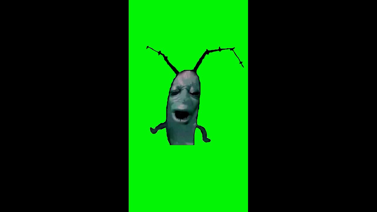 Moaning Plankton | Green Screen