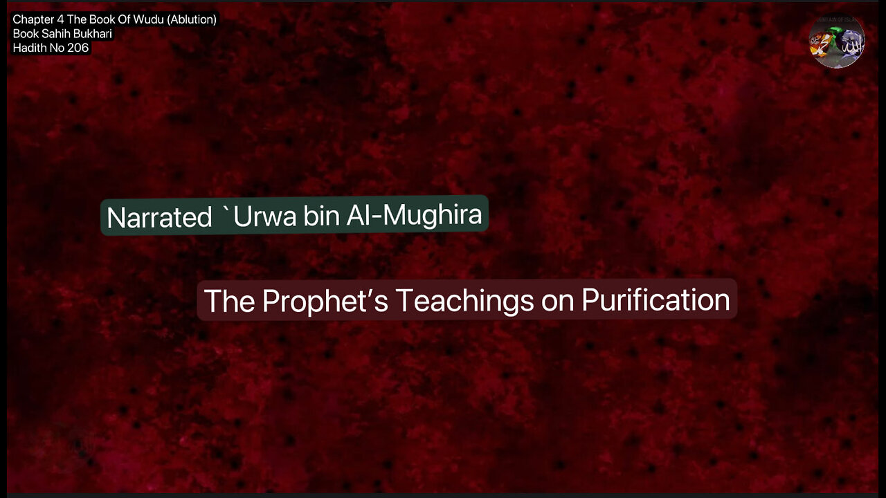 ❤️Hadith 206 Explained: The Prophet’s Teachings on Purification, volume 4, Sahih Bukhari ❤️ 08 Oct