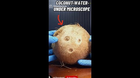 Raw Coconut water under Microscope