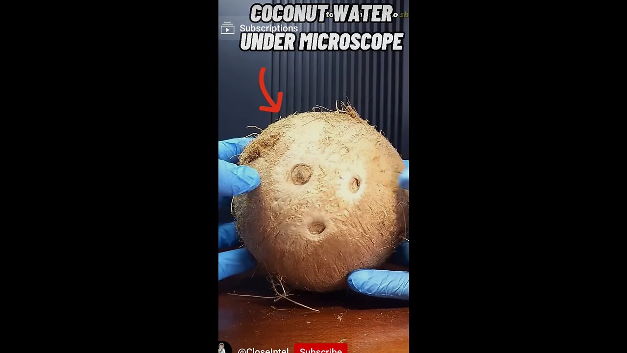 Raw Coconut water under Microscope