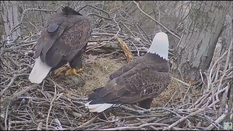 Hays Eagles Dad brings a huge carp for the pantry 3.19.22 17:38