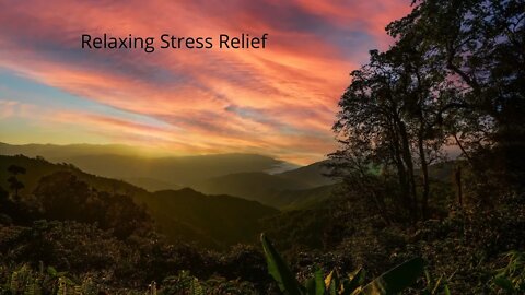 Relaxing Music1hour, Meditation Music, Sleep Music, Yoga, Nature, Sleeping Music, Study Music, Sleep