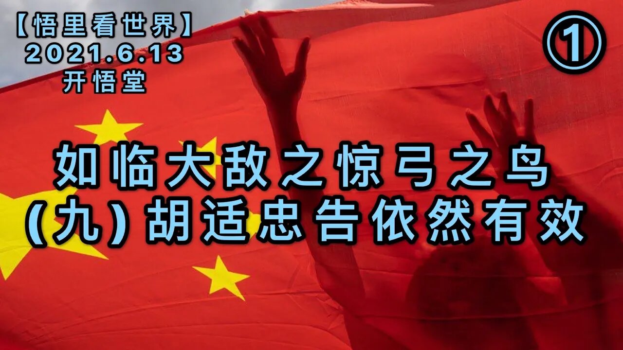 KWT1932(1)胡适的忠告依然有效——如临大敌之惊弓之鸟(九)20210613-13【悟里看世界】