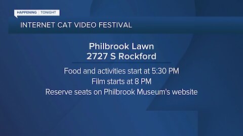 Internet Cat Video Festival