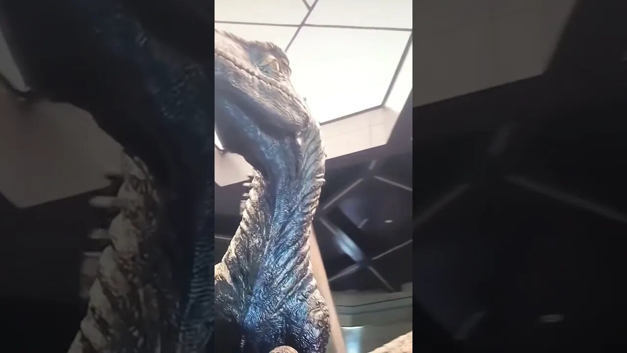 Best Roller Coaster!!!