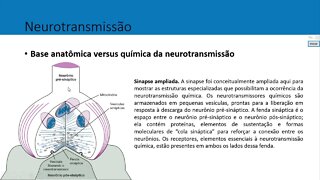 AULA 3 FARMACOLOGIA 2022