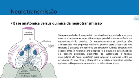 AULA 3 FARMACOLOGIA 2022