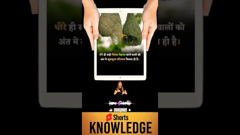 Motivational Quotes Intresting Facts & research #shorts #ytshorts #knowledge #motivation #yogi