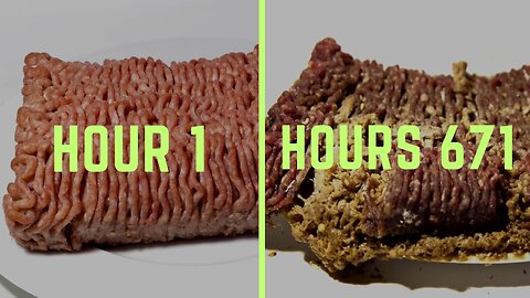 Minced Meat Time-Lapse