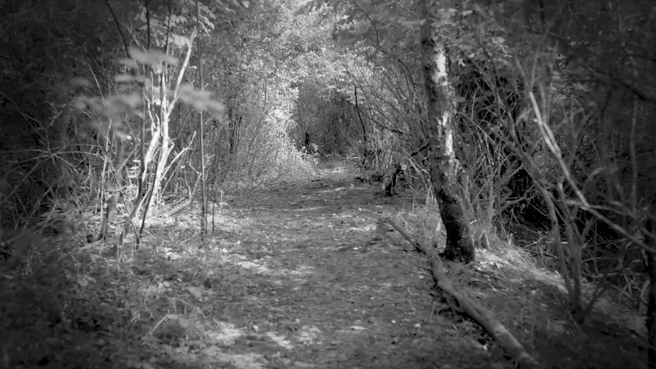 Buffalo’s Haunted History – Sinking Ponds Nature Preserve