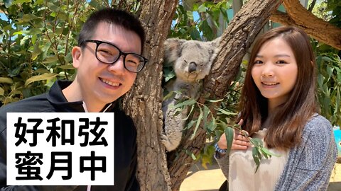 好和弦和 @檸檬卷 Janet 蜜月旅行中，12/14 恢復更新～