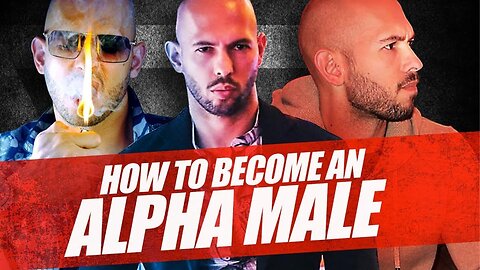 Alfa Male 12 Habits Of Alfa Male |Are You An Alfa Male ........??| Lets Check