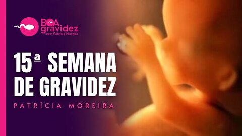 15 SEMANAS DE GRAVIDEZ - Gravidez Semana a Semana