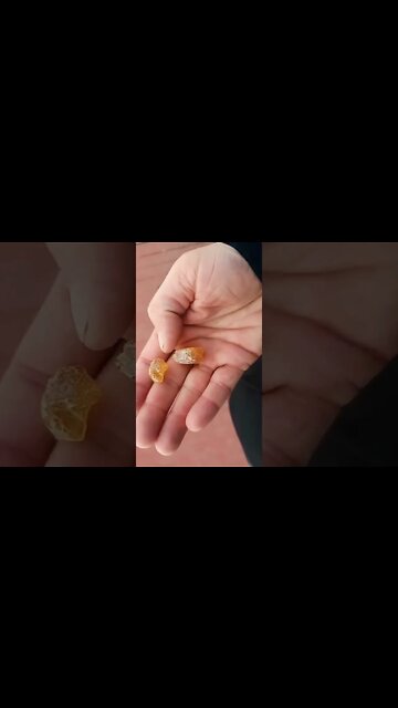 Common Item For A Few