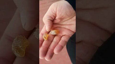 Common Item For A Few