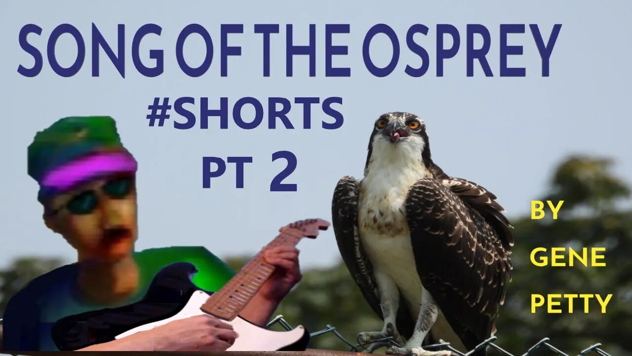 Song Of The Osprey Pt 2 By Gene Petty #Shorts