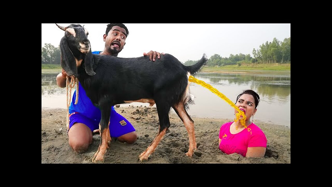 COMEDY VIDEOS FUNNY VIDEOS TOP COMEDY VIDEO