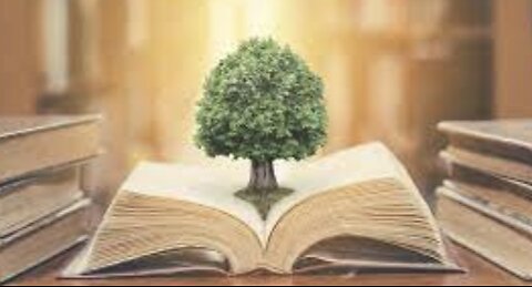 Wisdom - Perseverance Required