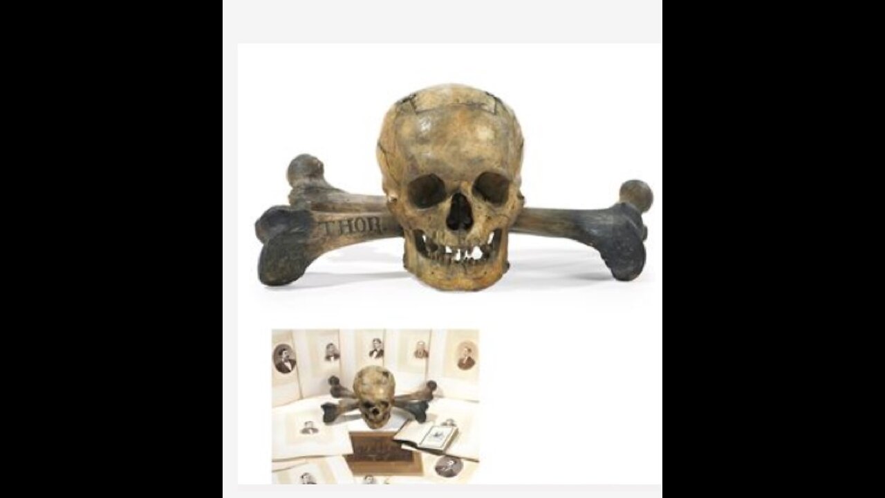 ~The Takeover Of America~