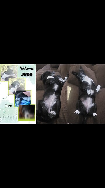 June is here, and so is the promise of sunny days, blooming flowers, and endless adventures ahead